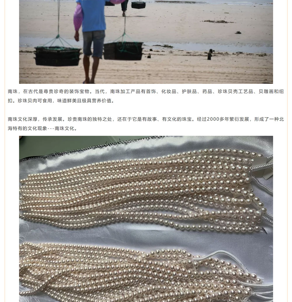 古老南珠，綻放異彩
