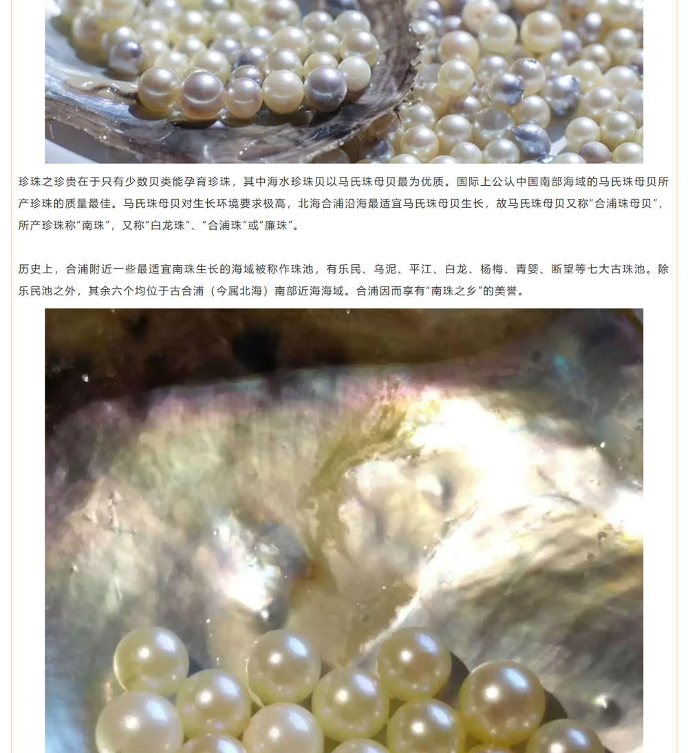 古老南珠，綻放異彩