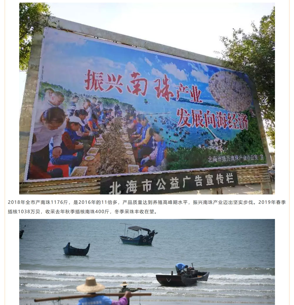 古老南珠，綻放異彩